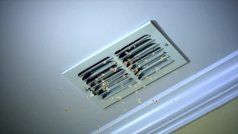 Best General Air Duct Cleaning  in Dakota Dunes, SD